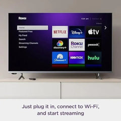 Dispositivo Streaming Roku Express HD 3960RW - Morado